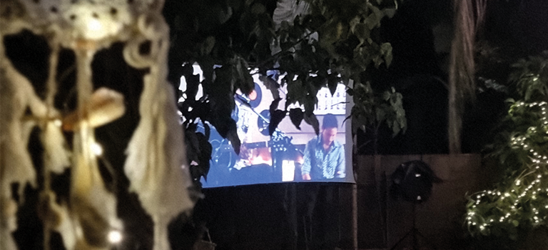 ToBuru_Palomino_Cine_768x350