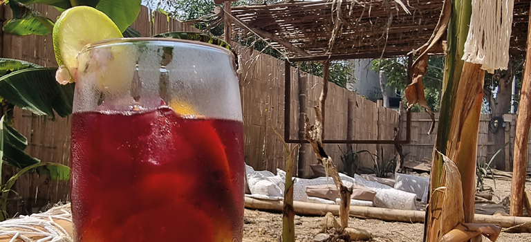 ToBuru_Palomino_Bar4_Tinto de Verano