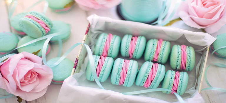 ToBuru_Palomino_Event Alquiler Rental_768x350