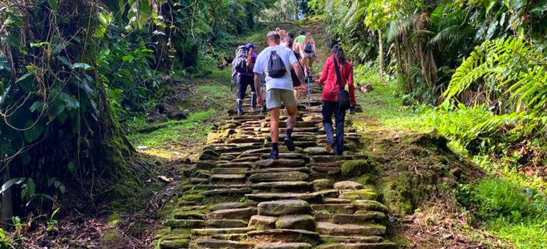 ToBuru Tours_Ciudad Perdida_blanco_768x350_1